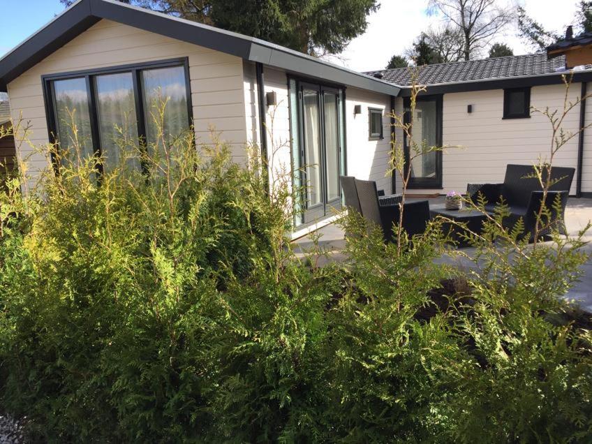 Huisjes Putten Reewold Chalet In Rustige En Mooie Omgeving מראה חיצוני תמונה